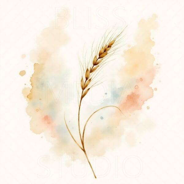 12 Barley Botanical Prints – Chateaucore Wall Art Set (Digital Download) - Image 13