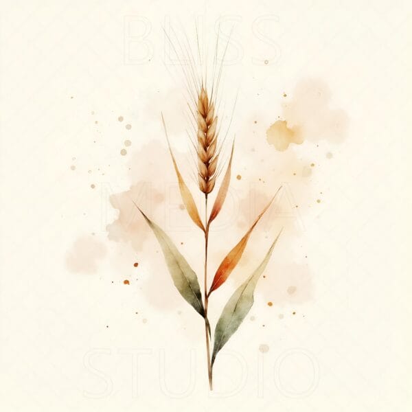 12 Barley Botanical Prints – Chateaucore Wall Art Set (Digital Download) - Image 12