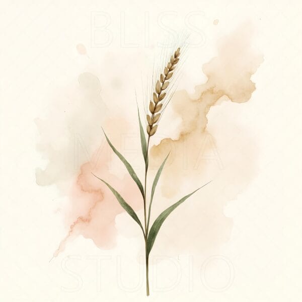 12 Barley Botanical Prints – Chateaucore Wall Art Set (Digital Download) - Image 9