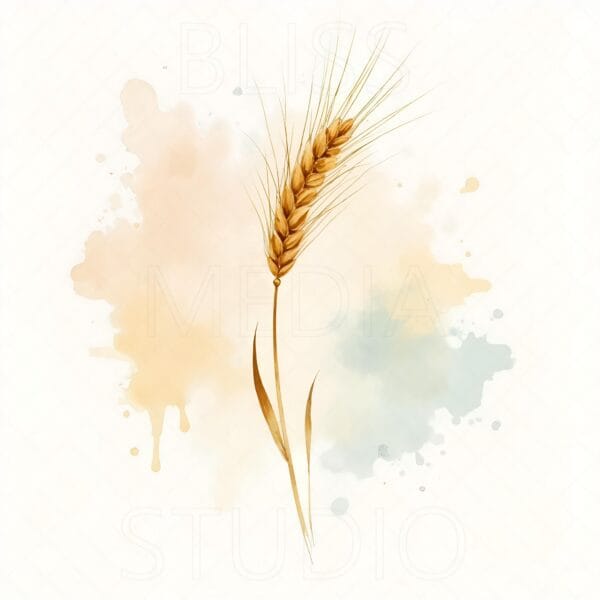 12 Barley Botanical Prints – Chateaucore Wall Art Set (Digital Download) - Image 6