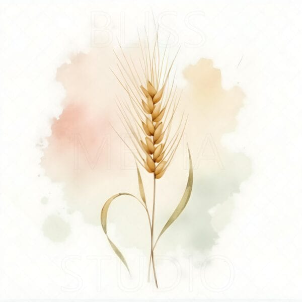 12 Barley Botanical Prints – Chateaucore Wall Art Set (Digital Download) - Image 5