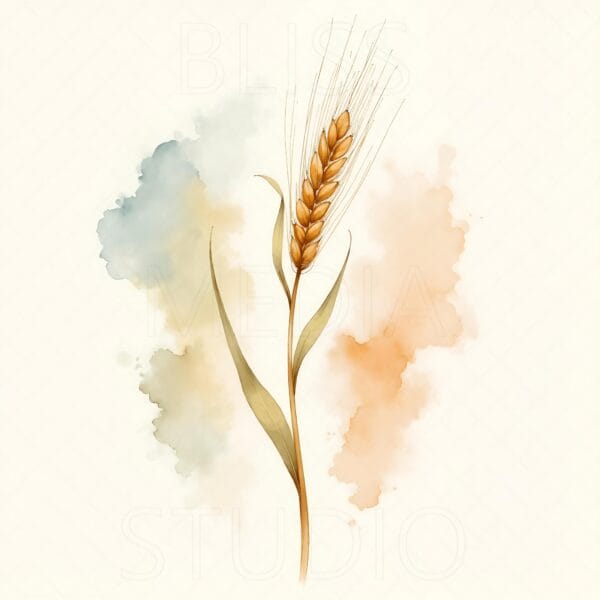 12 Barley Botanical Prints – Chateaucore Wall Art Set (Digital Download) - Image 3