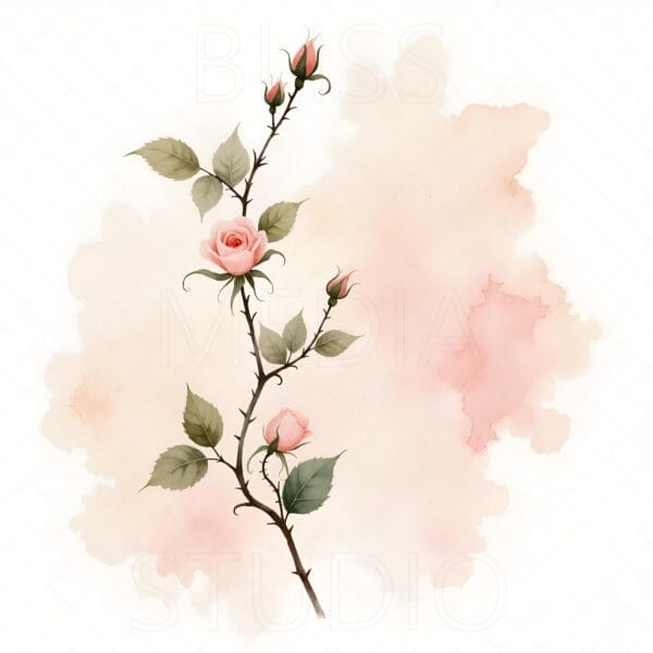 13 Climbing Rose Botanical Prints – Chateaucore Wall Art Set (Digital Download) - Image 12