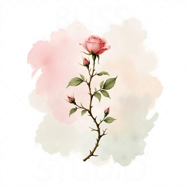 13 Climbing Rose Botanical Prints – Chateaucore Wall Art Set (Digital Download) - Image 11
