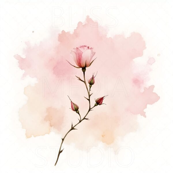 13 Climbing Rose Botanical Prints – Chateaucore Wall Art Set (Digital Download) - Image 3