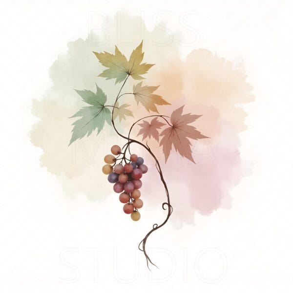 14 Grape Vine Botanical Prints – Chateaucore Wall Art Set (Digital Download) - Image 2