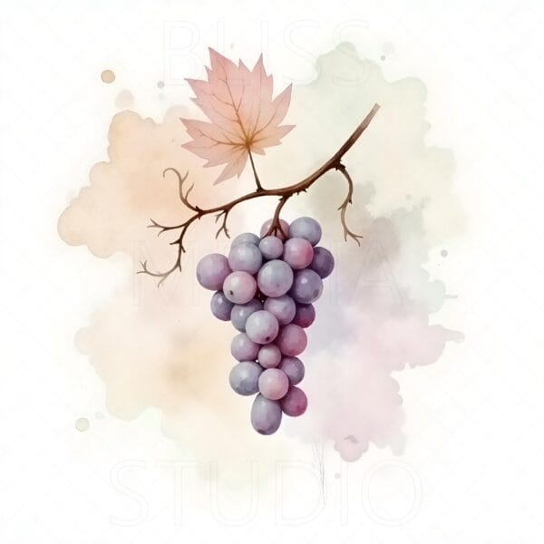 14 Grape Vine Botanical Prints – Chateaucore Wall Art Set (Digital Download) - Image 3