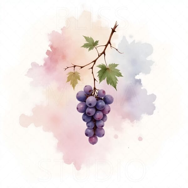 14 Grape Vine Botanical Prints – Chateaucore Wall Art Set (Digital Download) - Image 5