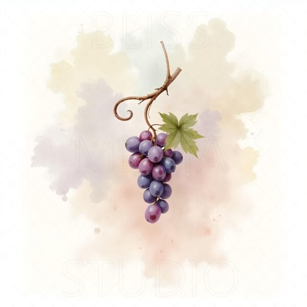 14 Grape Vine Botanical Prints – Chateaucore Wall Art Set (Digital Download) - Image 6