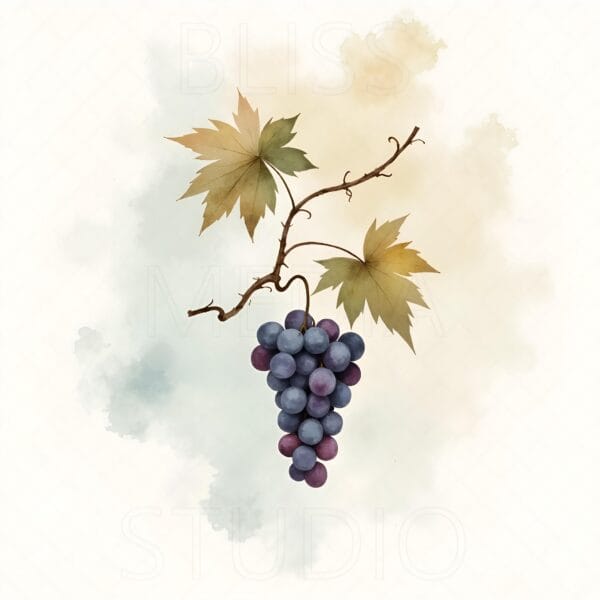 14 Grape Vine Botanical Prints – Chateaucore Wall Art Set (Digital Download) - Image 7
