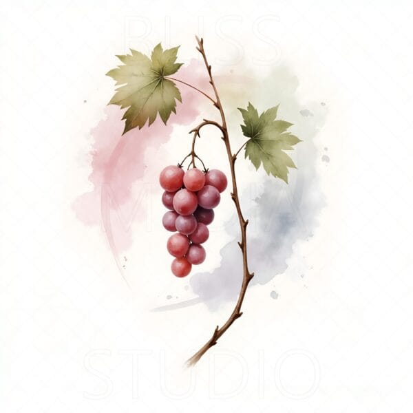 14 Grape Vine Botanical Prints – Chateaucore Wall Art Set (Digital Download) - Image 8