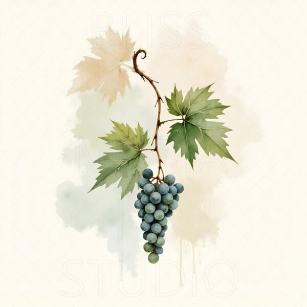 14 Grape Vine Botanical Prints – Chateaucore Wall Art Set (Digital Download) - Image 9