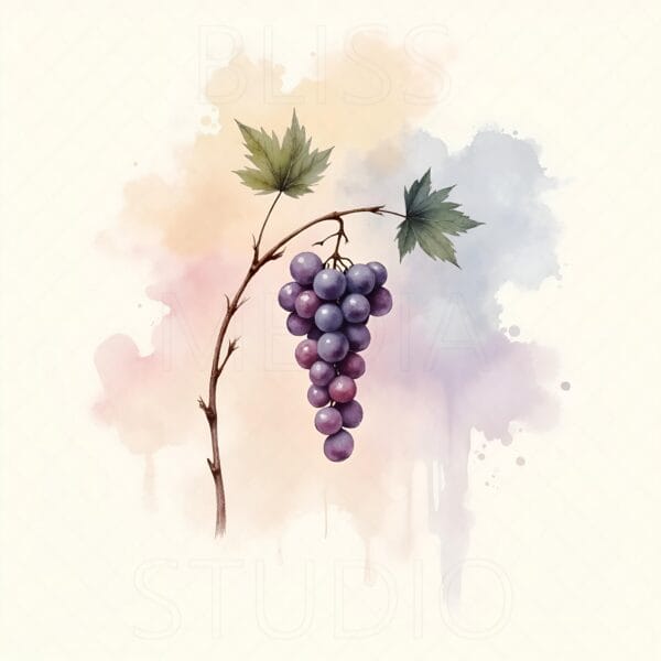 14 Grape Vine Botanical Prints – Chateaucore Wall Art Set (Digital Download) - Image 10