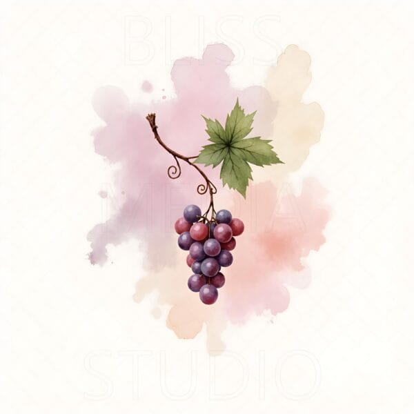 14 Grape Vine Botanical Prints – Chateaucore Wall Art Set (Digital Download) - Image 11