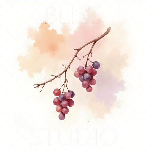 14 Grape Vine Botanical Prints – Chateaucore Wall Art Set (Digital Download) - Image 12
