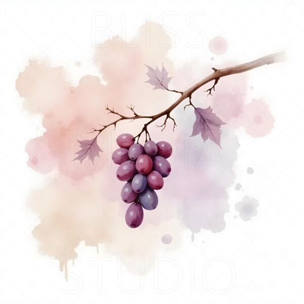 14 Grape Vine Botanical Prints – Chateaucore Wall Art Set (Digital Download) - Image 13