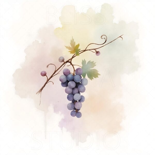 14 Grape Vine Botanical Prints – Chateaucore Wall Art Set (Digital Download) - Image 14