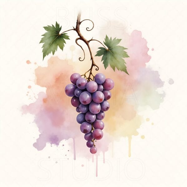 14 Grape Vine Botanical Prints – Chateaucore Wall Art Set (Digital Download) - Image 15