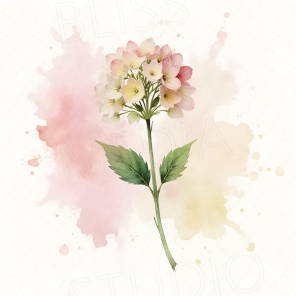 14 Hydrangea Botanical Prints – Chateaucore Wall Art Set (Digital Download) - Image 2