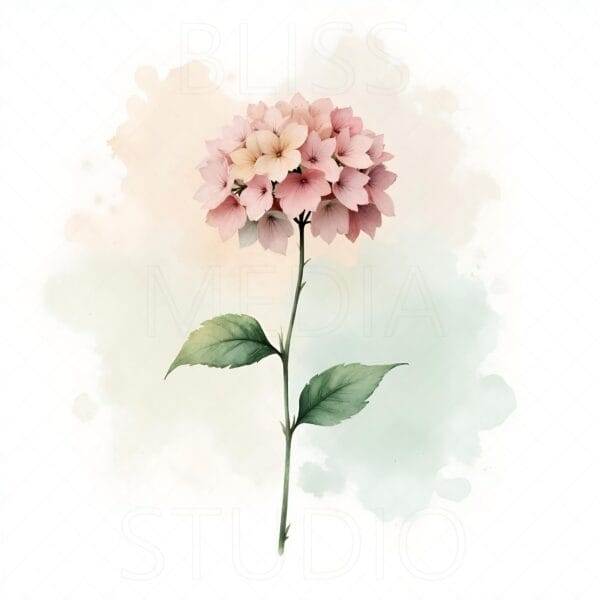 14 Hydrangea Botanical Prints – Chateaucore Wall Art Set (Digital Download) - Image 4
