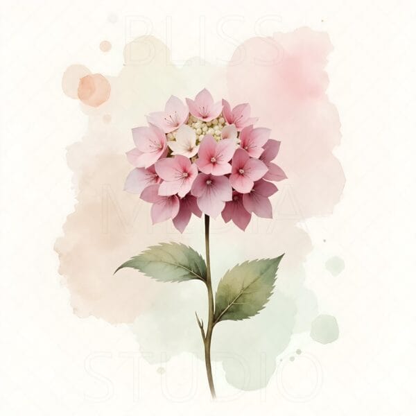 14 Hydrangea Botanical Prints – Chateaucore Wall Art Set (Digital Download) - Image 5