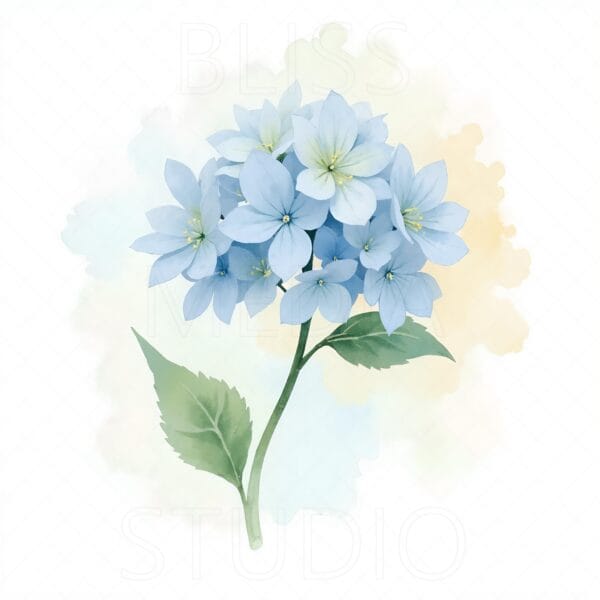 14 Hydrangea Botanical Prints – Chateaucore Wall Art Set (Digital Download) - Image 8