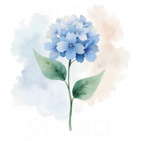 14 Hydrangea Botanical Prints – Chateaucore Wall Art Set (Digital Download) - Image 10
