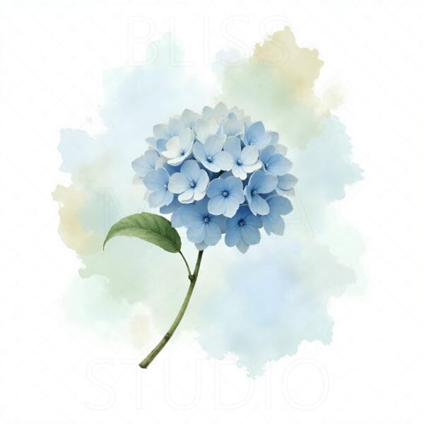 14 Hydrangea Botanical Prints – Chateaucore Wall Art Set (Digital Download) - Image 11