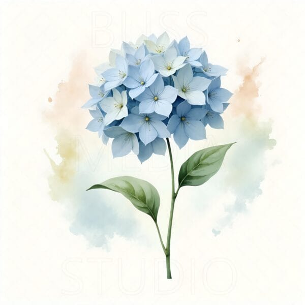 14 Hydrangea Botanical Prints – Chateaucore Wall Art Set (Digital Download) - Image 13