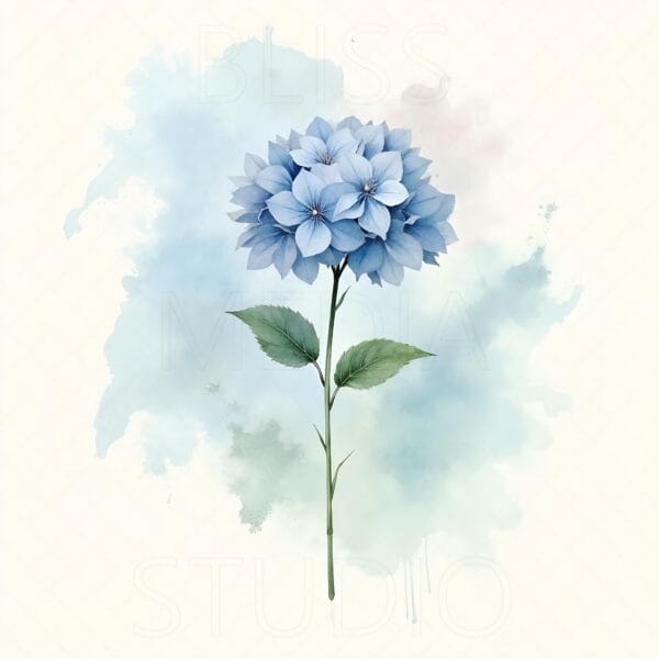14 Hydrangea Botanical Prints – Chateaucore Wall Art Set (Digital Download) - Image 14