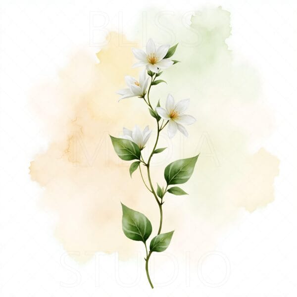 15 Jasmine Botanical Prints – Chateaucore Wall Art Set (Digital Download) - Image 6