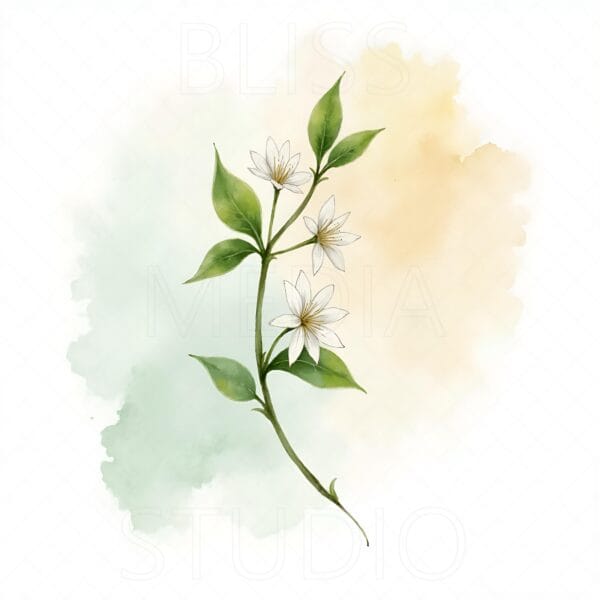 15 Jasmine Botanical Prints – Chateaucore Wall Art Set (Digital Download) - Image 7