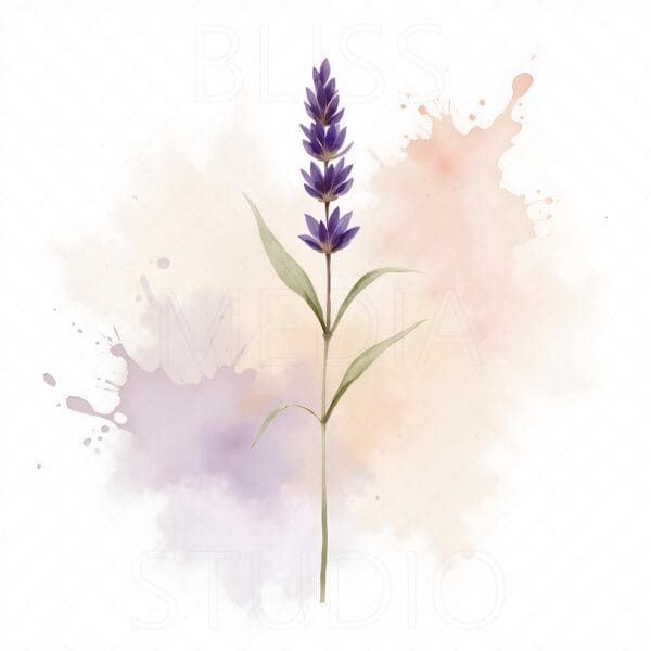 16 Lavender Botanical Prints – Chateaucore Wall Art Set (Digital Download) - Image 2