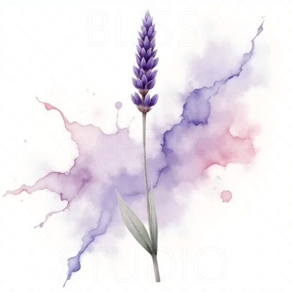 16 Lavender Botanical Prints – Chateaucore Wall Art Set (Digital Download) - Image 4