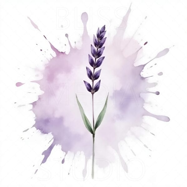 16 Lavender Botanical Prints – Chateaucore Wall Art Set (Digital Download) - Image 6