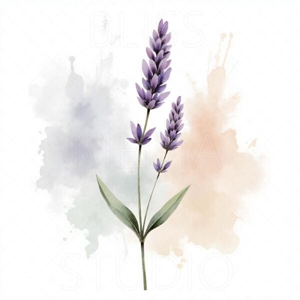 16 Lavender Botanical Prints – Chateaucore Wall Art Set (Digital Download) - Image 11