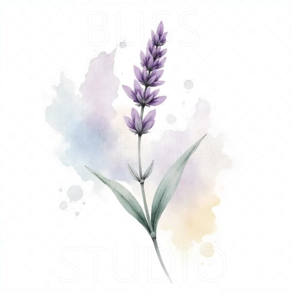 16 Lavender Botanical Prints – Chateaucore Wall Art Set (Digital Download) - Image 13