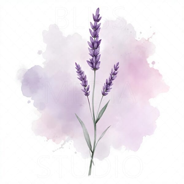 16 Lavender Botanical Prints – Chateaucore Wall Art Set (Digital Download) - Image 14