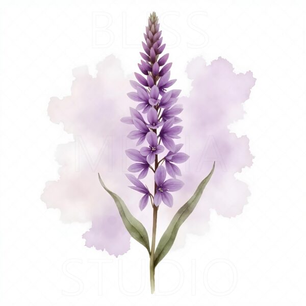 15 Lilac Botanical Prints – Chateaucore Wall Art Set (Digital Download) - Image 2