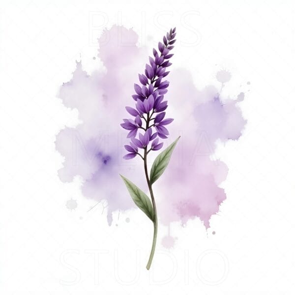 15 Lilac Botanical Prints – Chateaucore Wall Art Set (Digital Download) - Image 13