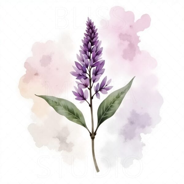 15 Lilac Botanical Prints – Chateaucore Wall Art Set (Digital Download) - Image 12