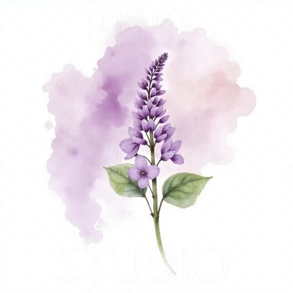 15 Lilac Botanical Prints – Chateaucore Wall Art Set (Digital Download) - Image 8