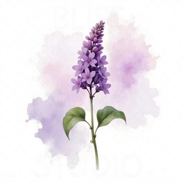 15 Lilac Botanical Prints – Chateaucore Wall Art Set (Digital Download) - Image 7