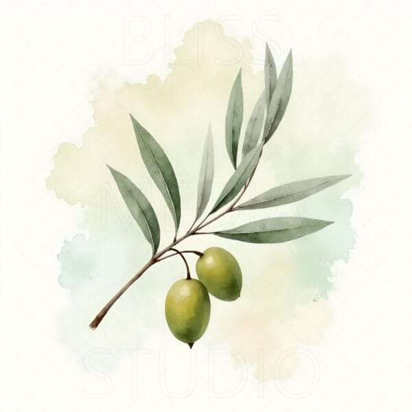 15 Olive Branch Botanical Prints – Chateaucore Wall Art Set (Digital Download) - Image 4