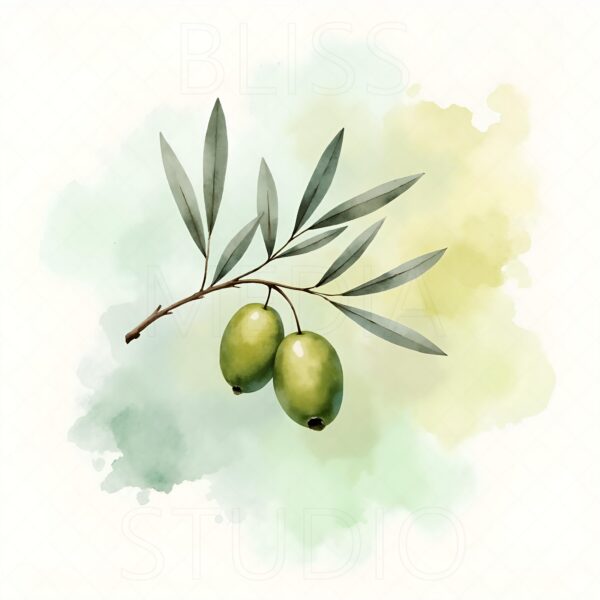 15 Olive Branch Botanical Prints – Chateaucore Wall Art Set (Digital Download) - Image 5