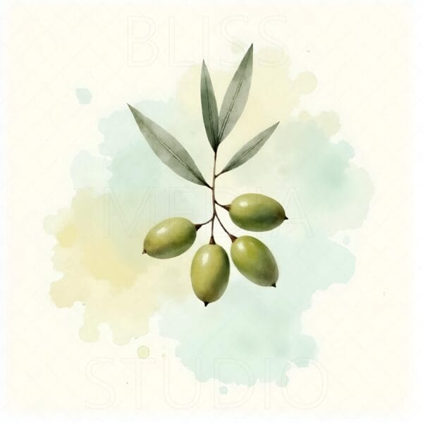 15 Olive Branch Botanical Prints – Chateaucore Wall Art Set (Digital Download) - Image 7