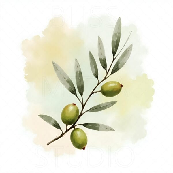 15 Olive Branch Botanical Prints – Chateaucore Wall Art Set (Digital Download) - Image 9
