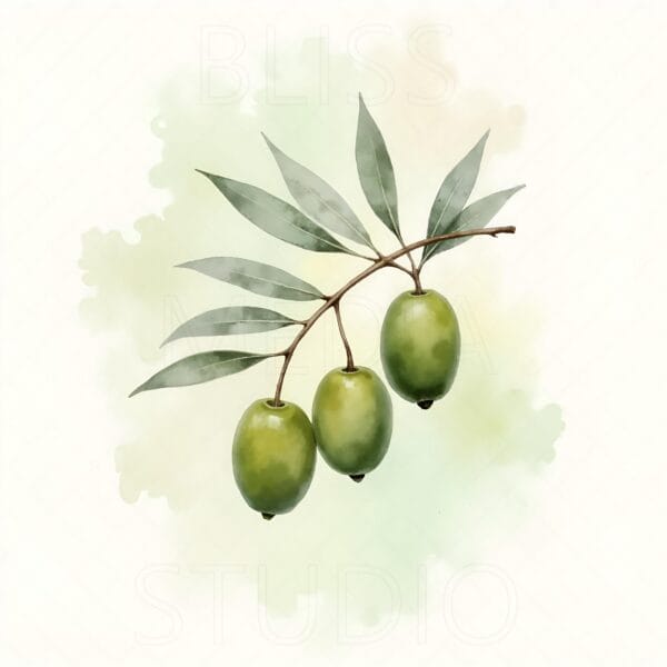 15 Olive Branch Botanical Prints – Chateaucore Wall Art Set (Digital Download) - Image 10