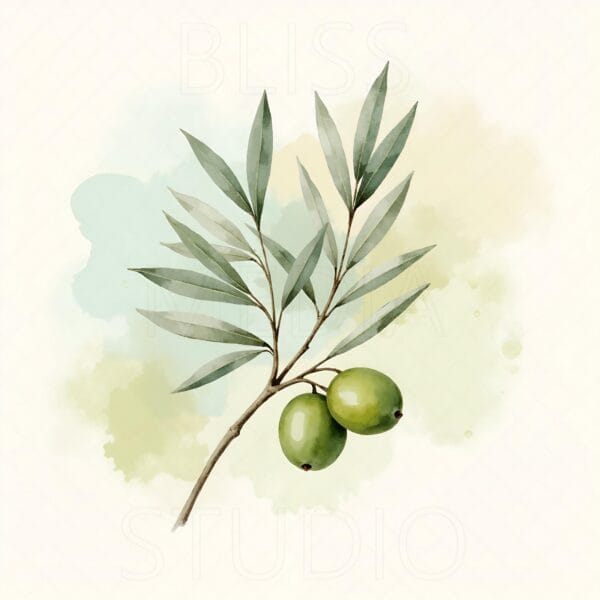 15 Olive Branch Botanical Prints – Chateaucore Wall Art Set (Digital Download) - Image 11