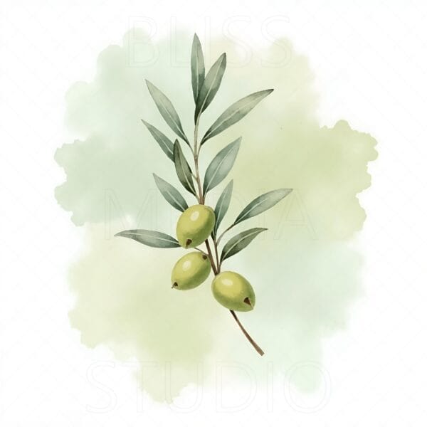 15 Olive Branch Botanical Prints – Chateaucore Wall Art Set (Digital Download) - Image 12